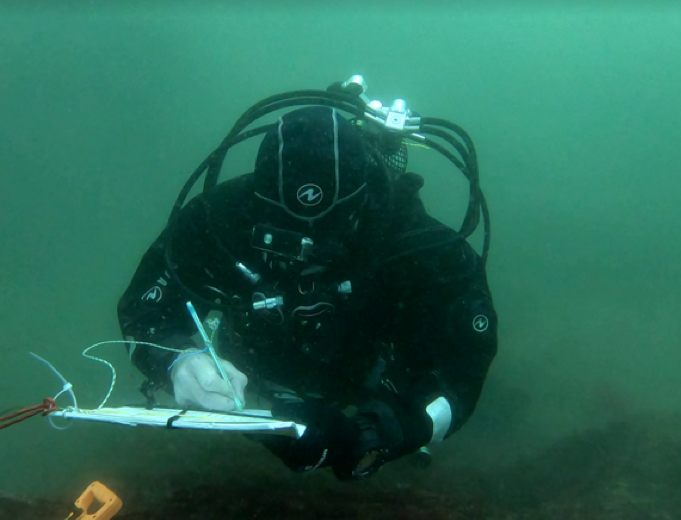 The Atlantic Living Lab Field Campaigns 2024-2025