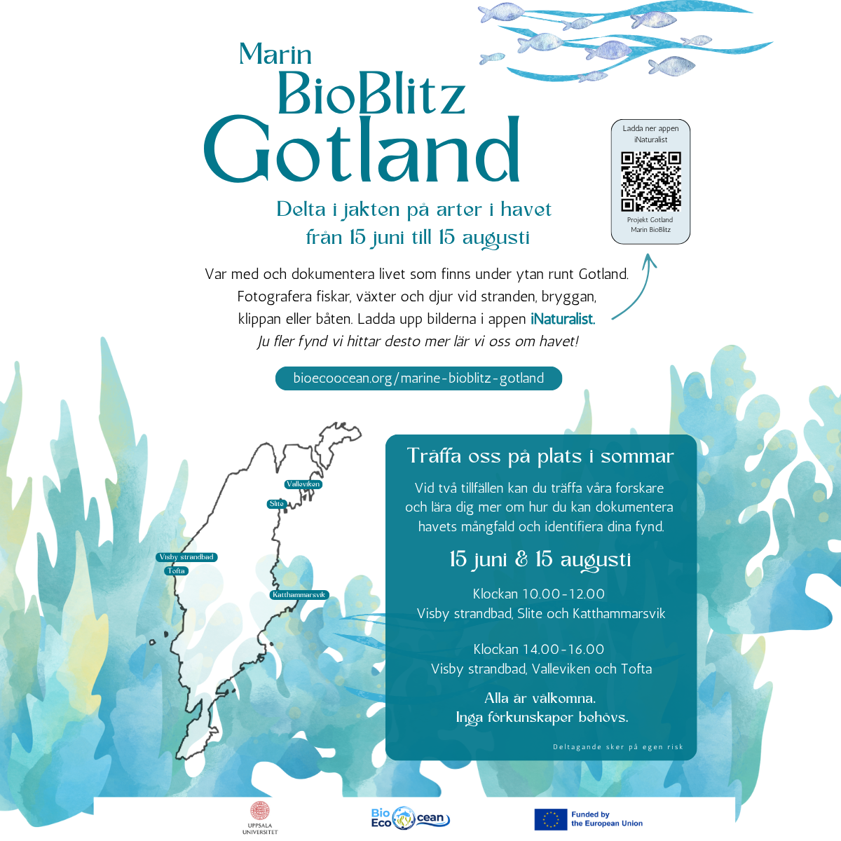 BioBlitz Linked in Swe