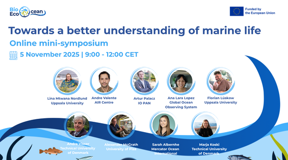 Mini-symposium-baner