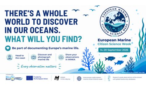 BioEcoOcean-News-Cover-Photo-474x282px